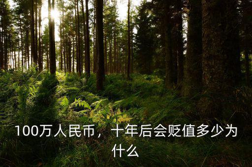 100萬人民幣，十年后會貶值多少為什么