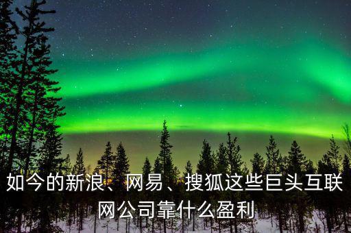 如今的新浪、網(wǎng)易、搜狐這些巨頭互聯(lián)網(wǎng)公司靠什么盈利