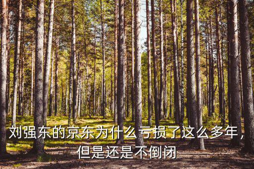劉強東的京東為什么虧損了這么多年，但是還是不倒閉