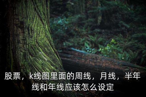 股票，k線圖里面的周線，月線，半年線和年線應(yīng)該怎么設(shè)定