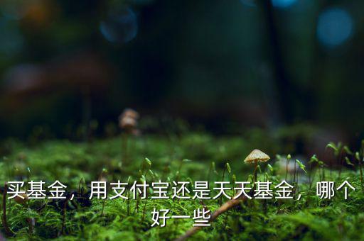 買基金，用支付寶還是天天基金，哪個(gè)好一些