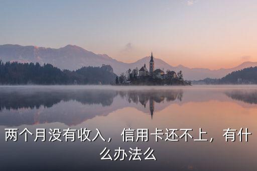 兩個(gè)月沒有收入，信用卡還不上，有什么辦法么