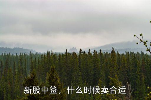 新股中簽，什么時候賣合適
