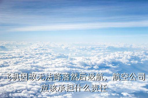 飛機(jī)因故無(wú)法降落然后返航，航空公司應(yīng)該承擔(dān)什么責(zé)任