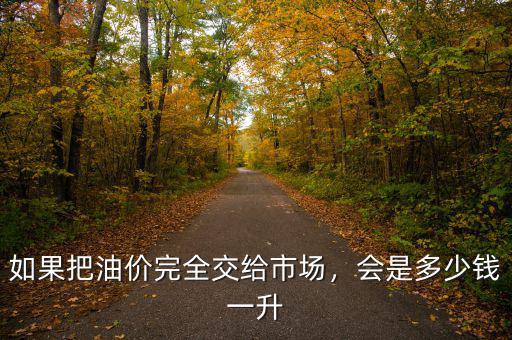 如果把油價(jià)完全交給市場(chǎng)，會(huì)是多少錢一升