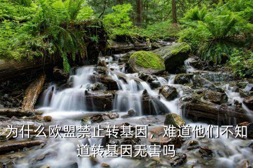 為什么歐盟禁止轉(zhuǎn)基因，難道他們不知道轉(zhuǎn)基因無害嗎