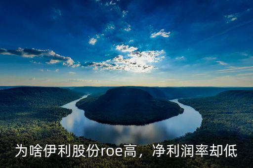 為啥伊利股份roe高，凈利潤率卻低
