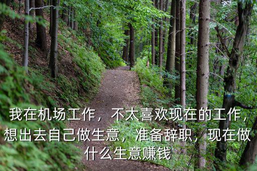 我在機(jī)場(chǎng)工作，不太喜歡現(xiàn)在的工作，想出去自己做生意，準(zhǔn)備辭職，現(xiàn)在做什么生意賺錢