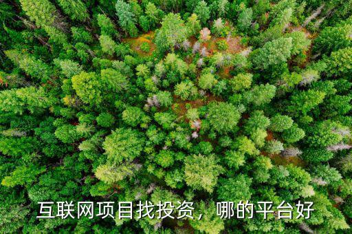 互聯(lián)網(wǎng)項(xiàng)目找投資，哪的平臺(tái)好