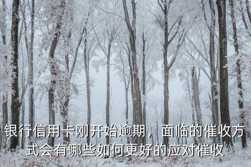 銀行信用卡剛開始逾期，面臨的催收方式會有哪些如何更好的應對催收