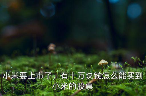 小米要上市了，有十萬塊錢怎么能買到小米的股票