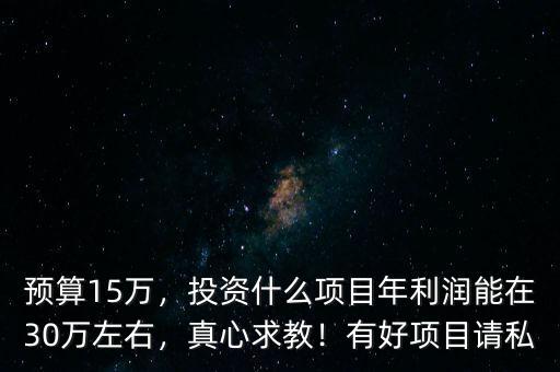 預(yù)算15萬，投資什么項目年利潤能在30萬左右，真心求教！有好項目請私