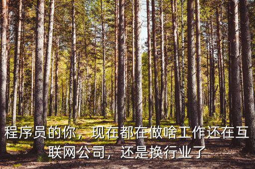 程序員的你，現(xiàn)在都在做啥工作還在互聯(lián)網(wǎng)公司，還是換行業(yè)了
