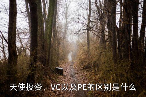 天使投資、VC以及PE的區(qū)別是什么
