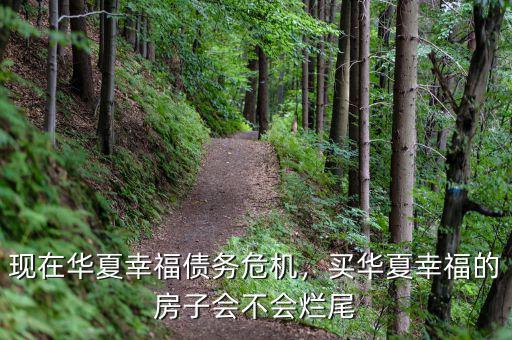 現(xiàn)在華夏幸福債務(wù)危機(jī)，買華夏幸福的房子會(huì)不會(huì)爛尾