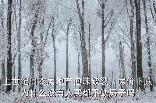 上世紀(jì)日本房地產(chǎn)泡沫破裂，房價(jià)下跌為什么沒有人買都不缺房子嗎