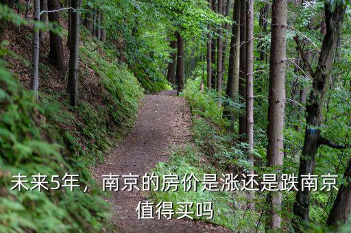 未來5年，南京的房價(jià)是漲還是跌南京值得買嗎