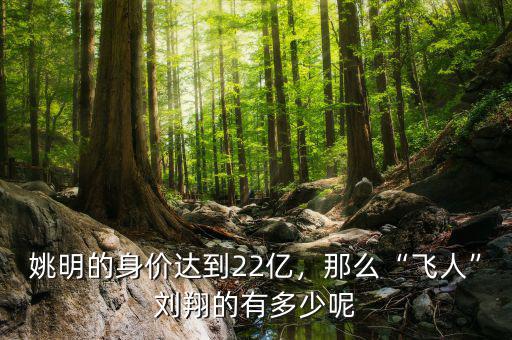 姚明的身價(jià)達(dá)到22億，那么“飛人”劉翔的有多少呢