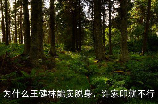 為什么王健林能賣脫身，許家印就不行