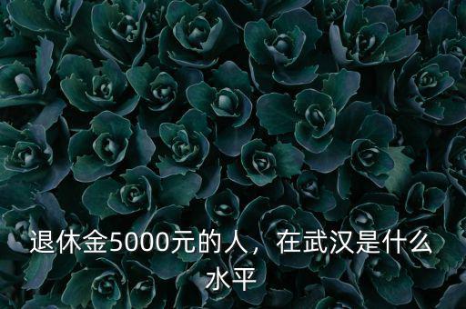 退休金5000元的人，在武漢是什么水平