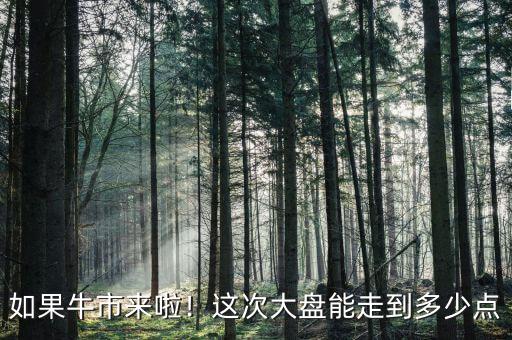 如果牛市來啦！這次大盤能走到多少點