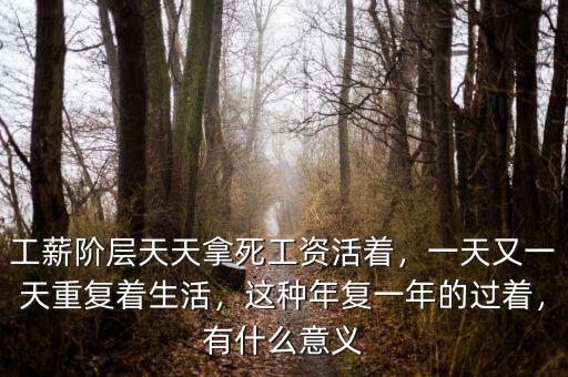 工薪階層天天拿死工資活著，一天又一天重復(fù)著生活，這種年復(fù)一年的過(guò)著，有什么意義