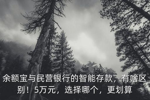 余額寶與民營(yíng)銀行的智能存款，有啥區(qū)別！5萬元，選擇哪個(gè)，更劃算