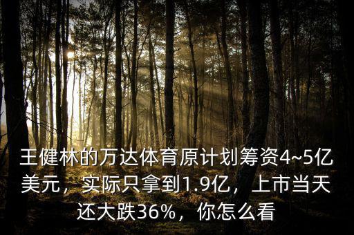 王健林的萬達體育原計劃籌資4~5億美元，實際只拿到1.9億，上市當(dāng)天還大跌36%，你怎么看