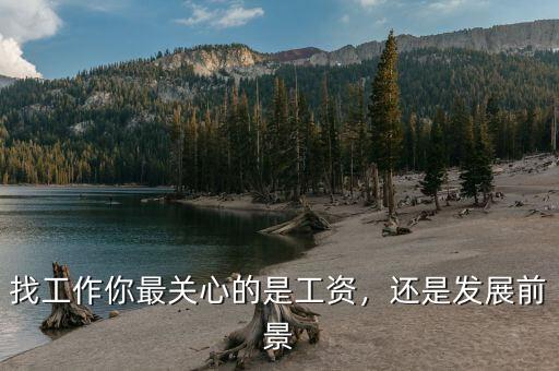 找工作你最關(guān)心的是工資，還是發(fā)展前景