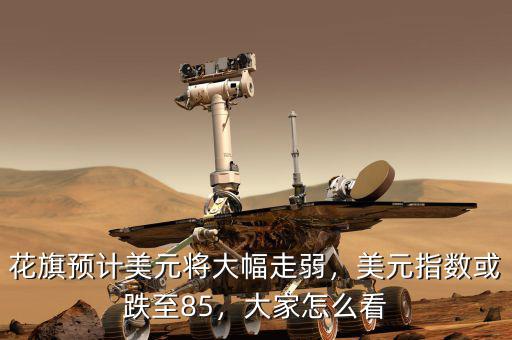 花旗預(yù)計(jì)美元將大幅走弱，美元指數(shù)或跌至85，大家怎么看