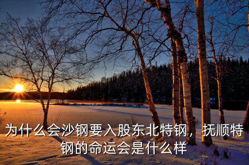 為什么會(huì)沙鋼要入股東北特鋼，撫順特鋼的命運(yùn)會(huì)是什么樣