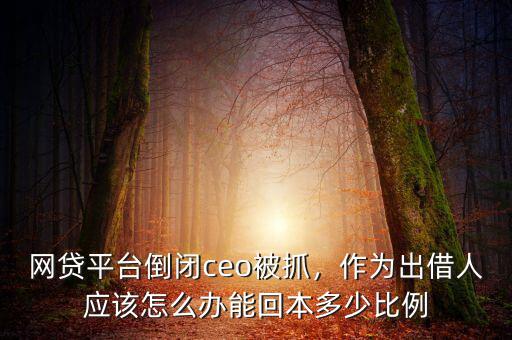 網(wǎng)貸平臺倒閉ceo被抓，作為出借人應(yīng)該怎么辦能回本多少比例