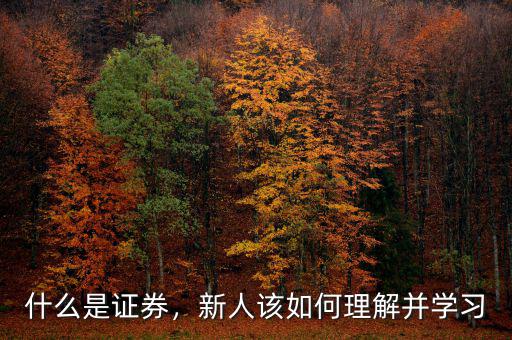 什么是證券，新人該如何理解并學(xué)習(xí)