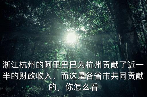 浙江杭州的阿里巴巴為杭州貢獻了近一半的財政收入，而這是各省市共同貢獻的，你怎么看