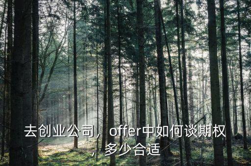 去創(chuàng)業(yè)公司，offer中如何談期權(quán)，多少合適