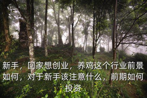 新手，回家想創(chuàng)業(yè)，養(yǎng)雞這個行業(yè)前景如何，對于新手該注意什么，前期如何投資