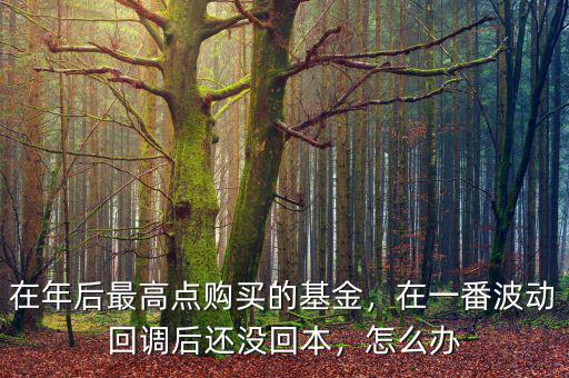 在年后最高點購買的基金，在一番波動回調后還沒回本，怎么辦