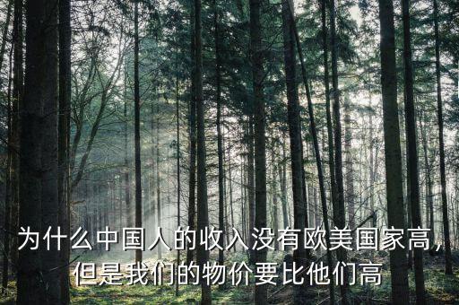 為什么中國(guó)人的收入沒有歐美國(guó)家高，但是我們的物價(jià)要比他們高