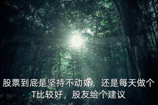 股票到底是堅(jiān)持不動(dòng)好，還是每天做個(gè)T比較好，股友給個(gè)建議