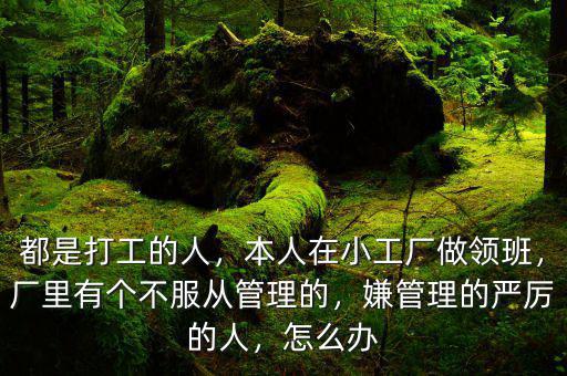 都是打工的人，本人在小工廠做領(lǐng)班，廠里有個(gè)不服從管理的，嫌管理的嚴(yán)厲的人，怎么辦