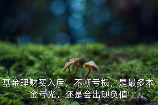 基金理財(cái)買入后，不斷虧損，是最多本金虧光，還是會(huì)出現(xiàn)負(fù)值