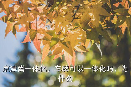 京津冀一體化，車牌可以一體化嗎，為什么