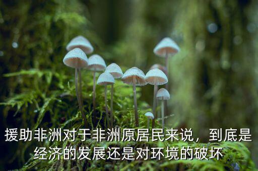 援助非洲對(duì)于非洲原居民來(lái)說(shuō)，到底是經(jīng)濟(jì)的發(fā)展還是對(duì)環(huán)境的破壞