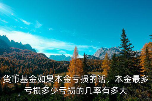 貨幣基金如果本金虧損的話，本金最多虧損多少虧損的幾率有多大