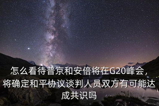 怎么看待普京和安倍將在G20峰會，將確定和平協(xié)議談判人員雙方有可能達成共識嗎