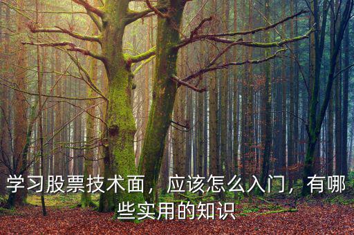 學(xué)習(xí)股票技術(shù)面，應(yīng)該怎么入門，有哪些實用的知識