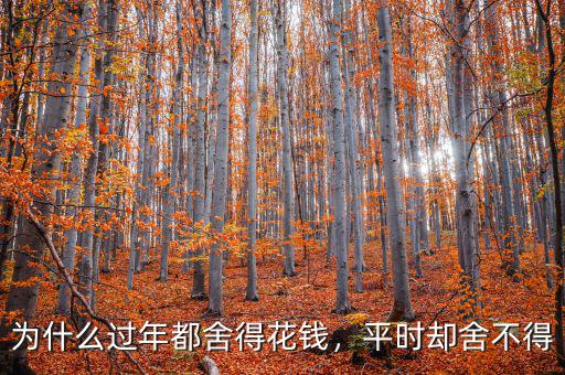 為什么過(guò)年都舍得花錢(qián)，平時(shí)卻舍不得