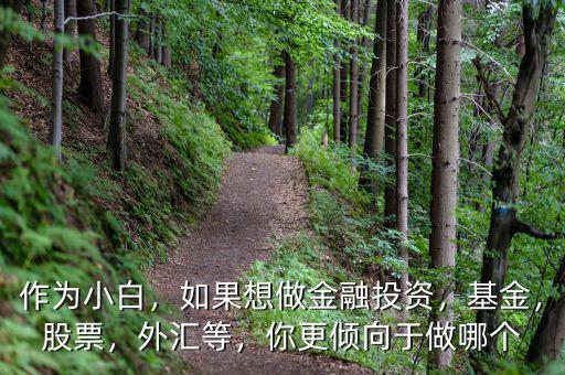 作為小白，如果想做金融投資，基金，股票，外匯等，你更傾向于做哪個