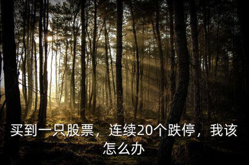 買到一只股票，連續(xù)20個跌停，我該怎么辦