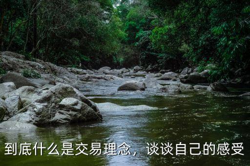 到底什么是交易理念，談?wù)勛约旱母惺? class=